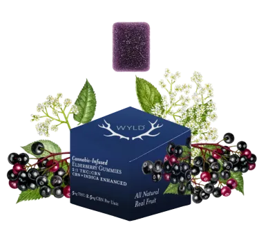 Product image of Wyld - Edible - Elderberry