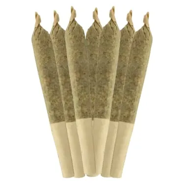 Product image of Sheeesh! - Pre-Roll - Trop Cherry