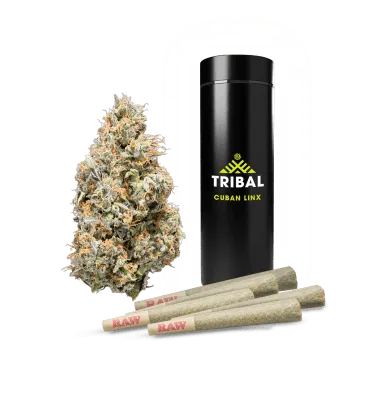 Product image of Tribal - Pre-Roll - Cuban Linx