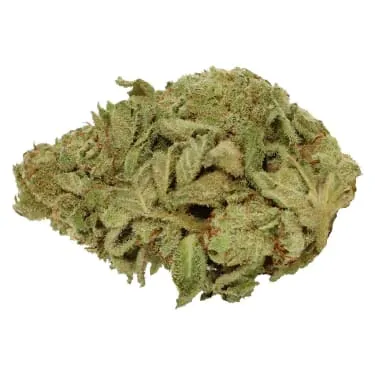 Product image of Big Pleasures (Sativa) - Pure Laine - Dried Flower