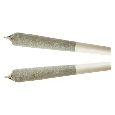 Product image of Sativa Pre-roll- XPLOR  2x1g