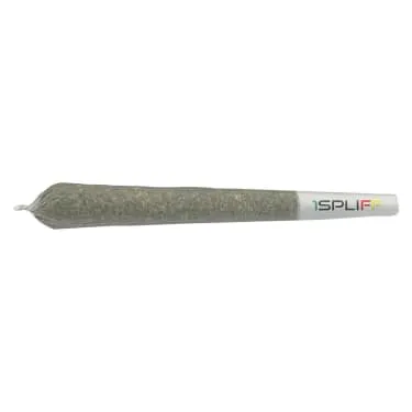 Product image of Biscotti - 1Spliff - Joints