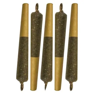 Product image of Sheeesh! - Key Lime Slice Cured Resin Infused Pre-Roll