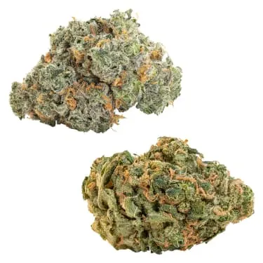 Product image of CombOz Ultra Sour + Blueberry Dream - Big Bag O' Buds - Variety Flower