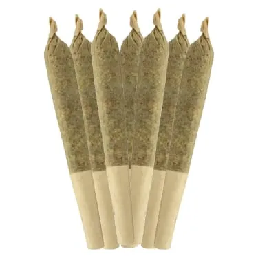 Product image of Coffin Candy - Sheeesh! - Joints