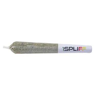 Product image of Quantum Kush - 1Spliff - Joints