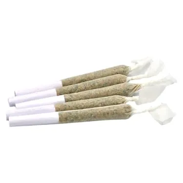 Product image of Bluenose Berry - Truro - Infused Joints