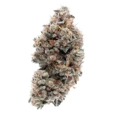 Product image of Frosted Guava Nuts - Northern Canna - Joints