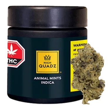 Product image of Animal Mints - High Quadz - Dried Flower