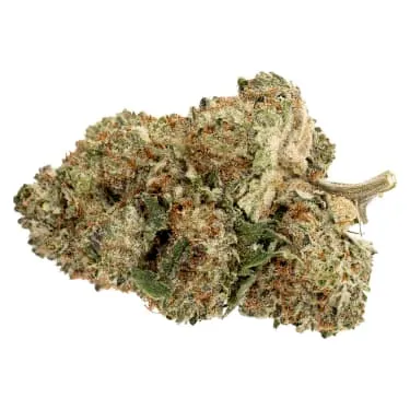 Product image of Pure Sunfarms - Pink Rhino
