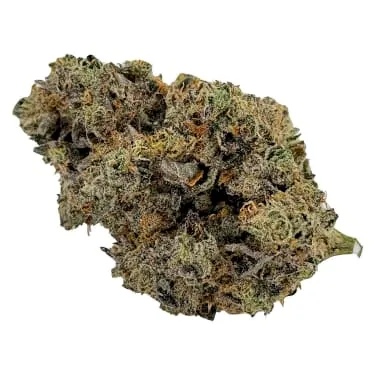 Product image of Plan't of the Ganja - Far Out Crops - Dried Flower