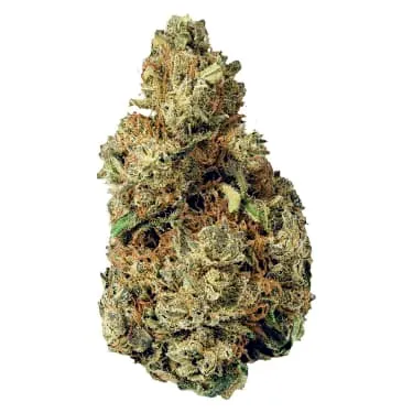 Product image of Resting Gas Face - Terp Town Collective - Dried Flower