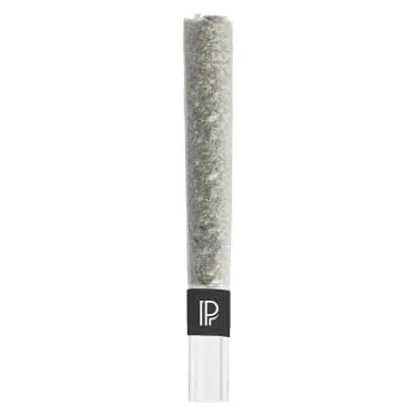 Product image of Pink Goo Bubble Hash Infused - Pistol and Paris - Infused Joints