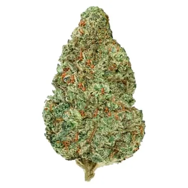 Product image of Chemzilla - Back Forty - Dried Flower