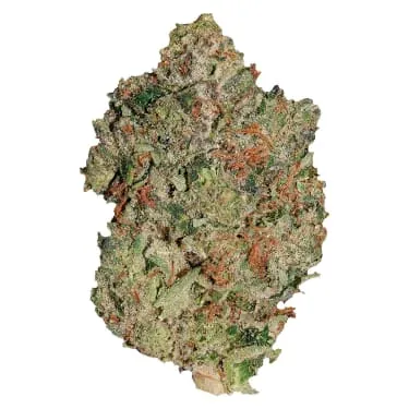Product image of Lindsay OG - Pistol and Paris - Dried Flower