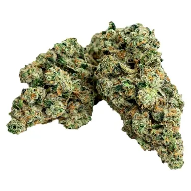 Product image of First Class Gas - Strain Limited - Dried Flower