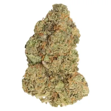 Product image of Spiked Mai Tai - Carmel - Dried Flower