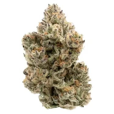 Product image of The Collective Half Q - Northern Canna - Dried Flower