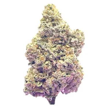 Product image of Royal Dive #7: Scarface OG - HighXotic - Dried Flower