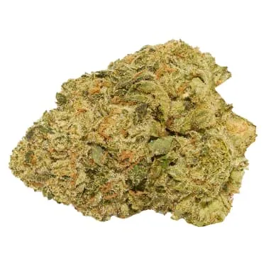 Product image of Façade - Good Supply - Dried Flower
