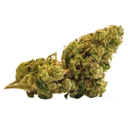 Product image of Verse Originals - BC God Bud