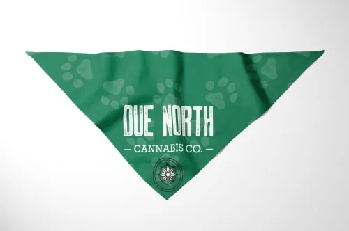 Product image of Pet Bandana - Green