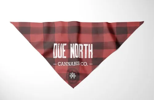 Product image of Pet Bandana - Plaid