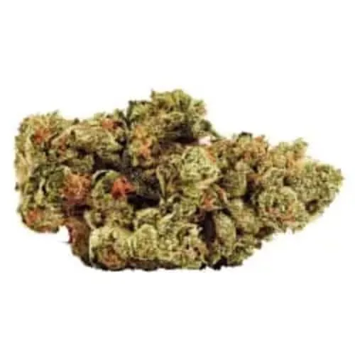 Product image of 34 Street Seed Co. - 34 Street Cookie