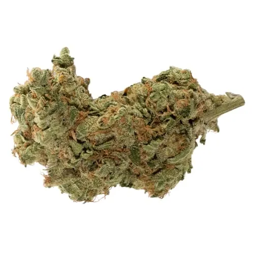 Product image of Candy Gas - Joi Botanicals - Dried Flower
