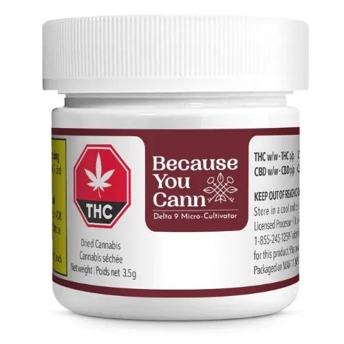 Product image of Blue Glue Kush 3.5g - BECAUSE YOU CANN