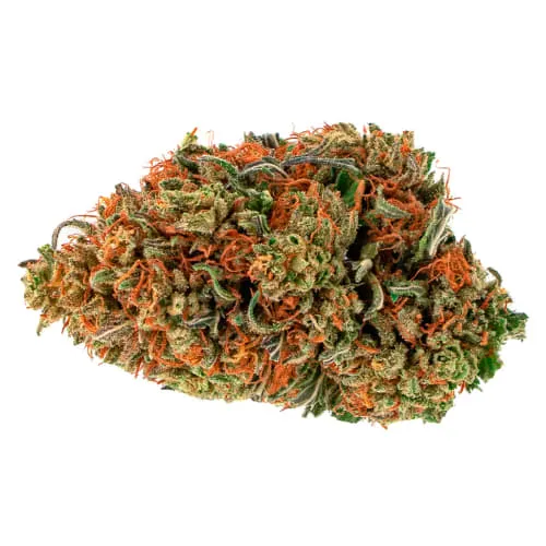 Product image of TENZO - Avalanche