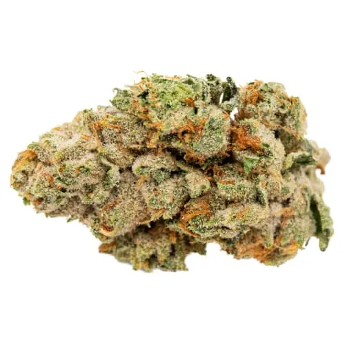 Product image of Cookie Dawg - Melt - Dried Flower