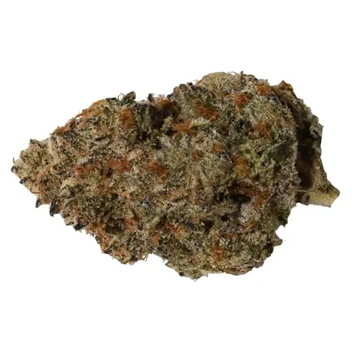 Product image of Blueberry Fuego - Next Friday - Dried Flower