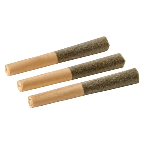 Product image of Blackberry Vanilla Infused Pre-Rolls - Back Forty