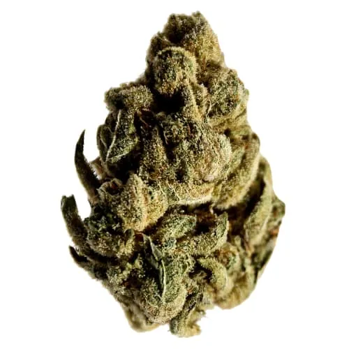 Product image of Candy Cane Kush - Potluck - Dried Flower