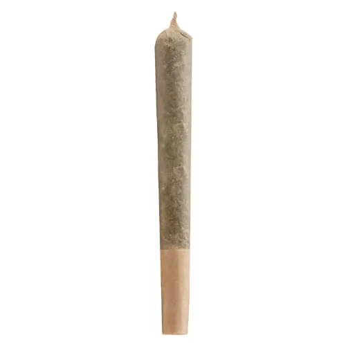 Product image of Versus - BC God Bud Pre-Roll