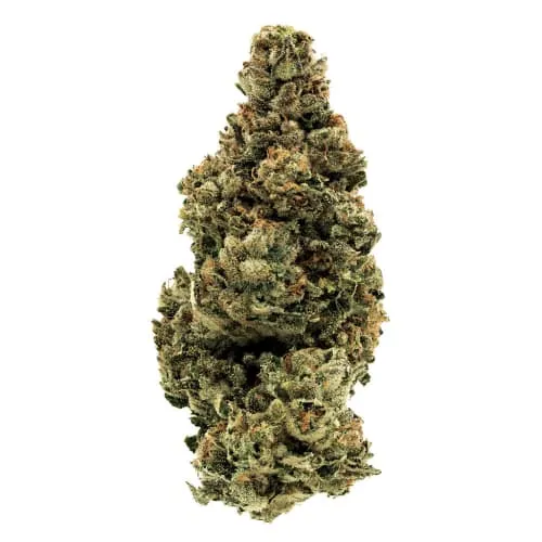 Product image of BC Organic Duct Tape 14g Dried Flower