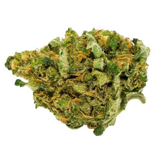 Product image of Black Magic Sativa - Smoke That Thunders - Dried Flower