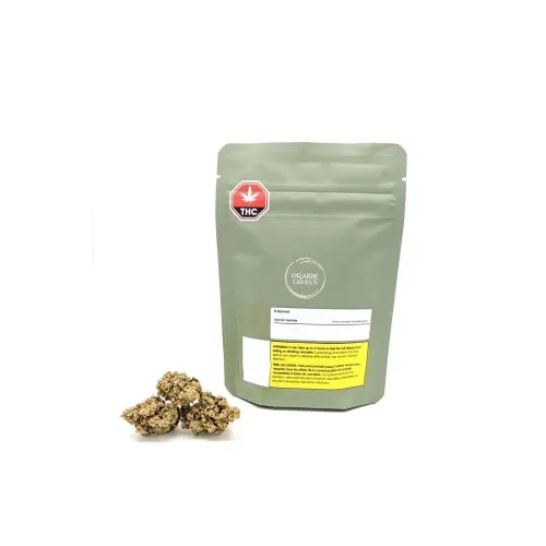 Product image of B-Banner 3.5g - PRAIRIE GRASS INC.