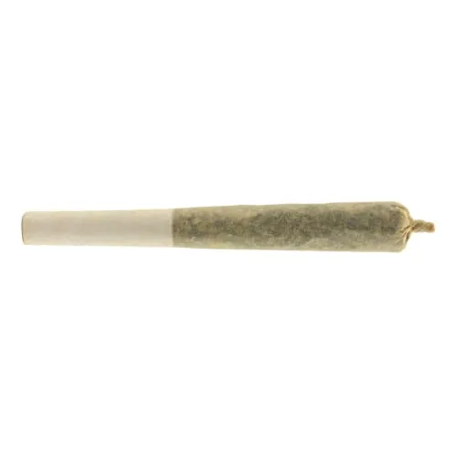 Product image of Nordique Royale - Afghan Gold Hash Infused Pre-Roll