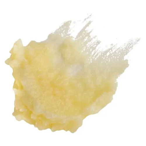 Product image of Lavender + Arnica 25g Balm - REBOUND BY STEWARD FARMS