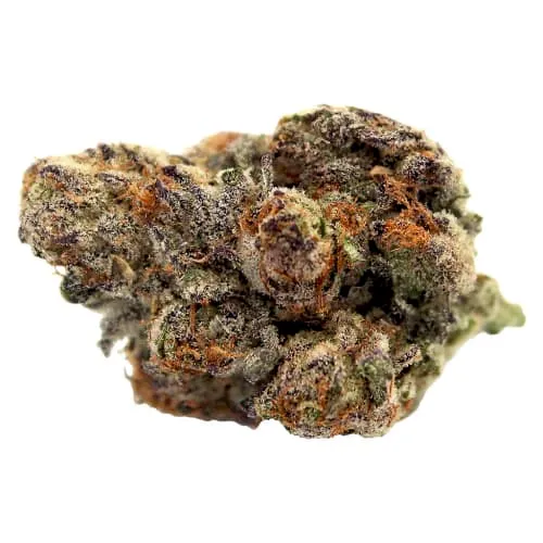 Product image of Ash Premium