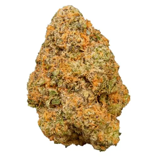 Product image of Bubble Bath - Qwest - Dried Flower