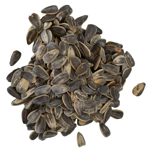 Product image of AstroNutz - BBQ Sunnies