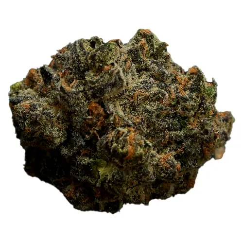 Product image of Qwest - Apple Fritter