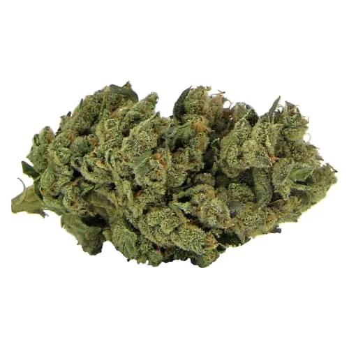 Product image of Maamawi - Maamawi Select