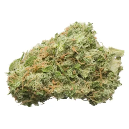 Product image of Namaste - 24K Gold