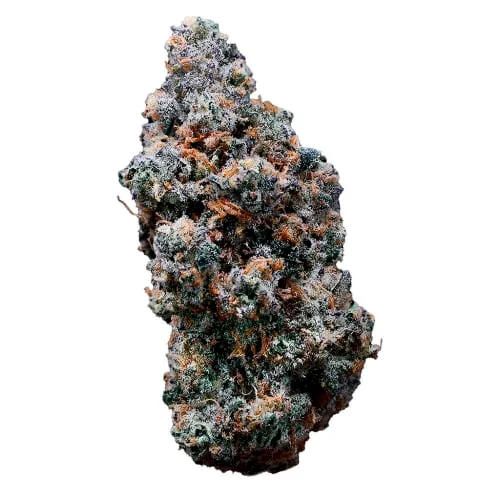Product image of BC's Finest 7g Dried Flower - PISTOL AND PARIS