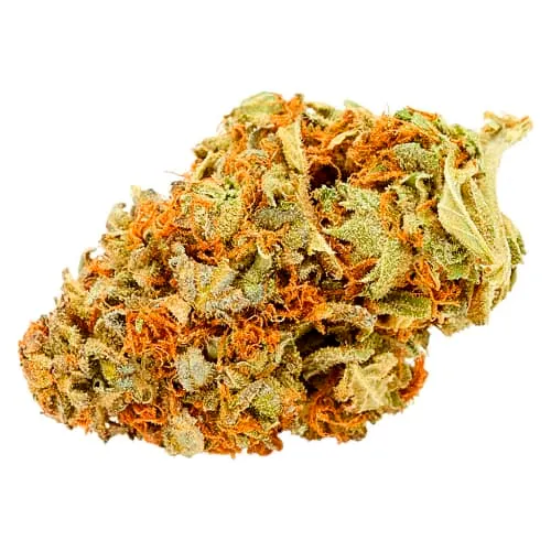 Product image of Oddball Dessert - Oddball - Dried Flower