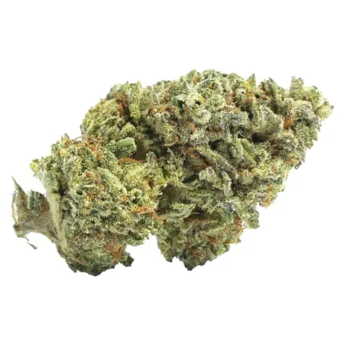Product image of Reservado 7g - SHEEESH!